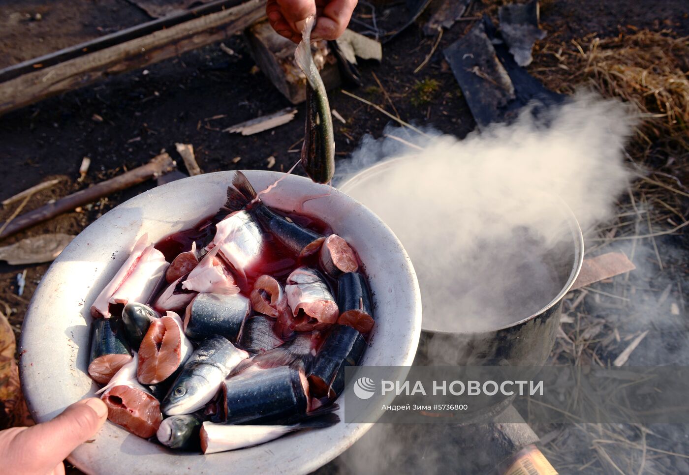  Охота на моржей на Чукотке