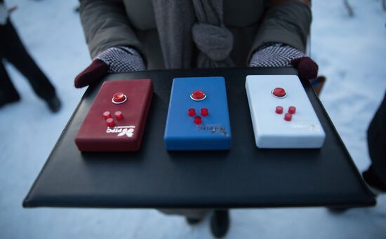 Запуск цифрового эфирного телевидения в п. Видяево 