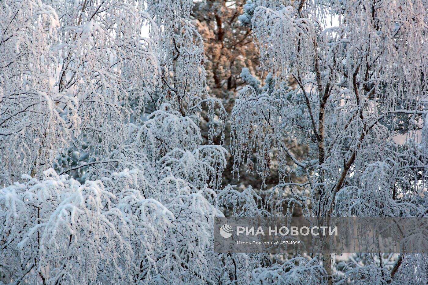 Зимние пейзажи Карелии