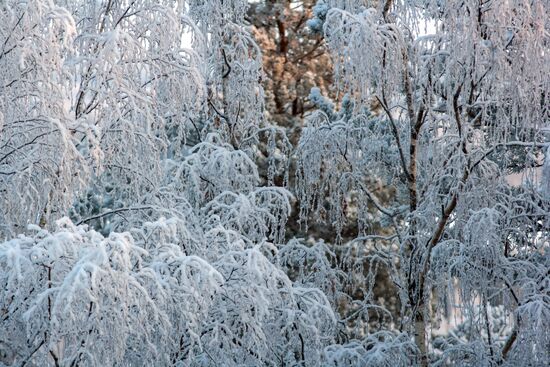 Зимние пейзажи Карелии