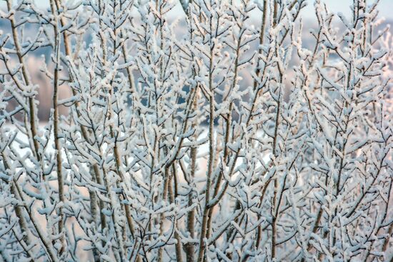 Зимние пейзажи Карелии
