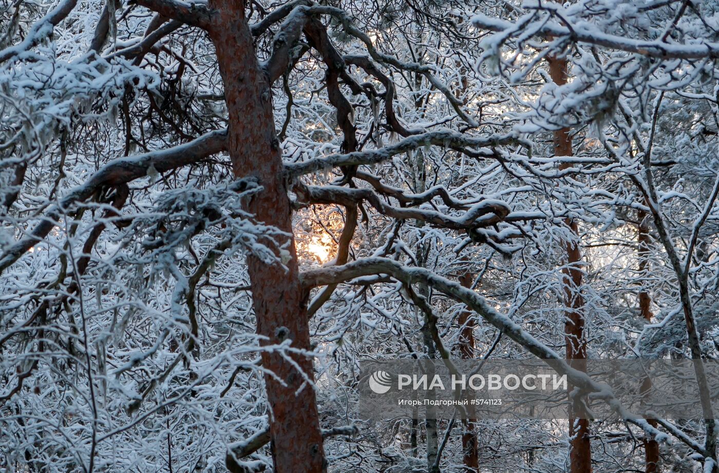 Зимние пейзажи Карелии