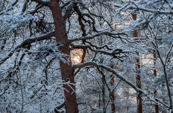 Зимние пейзажи Карелии