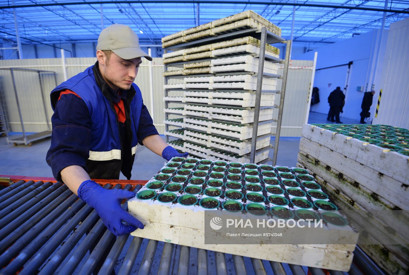 Открытие второй очереди тепличного комбината «УГМК-Агро»