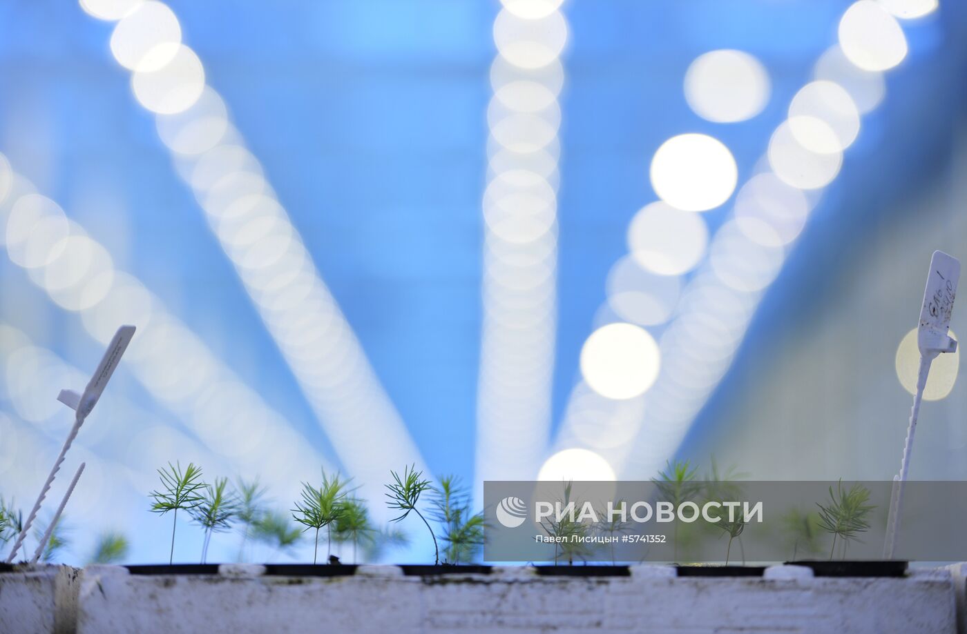 Открытие второй очереди тепличного комбината «УГМК-Агро»