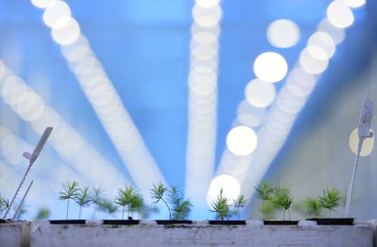 Открытие второй очереди тепличного комбината «УГМК-Агро»