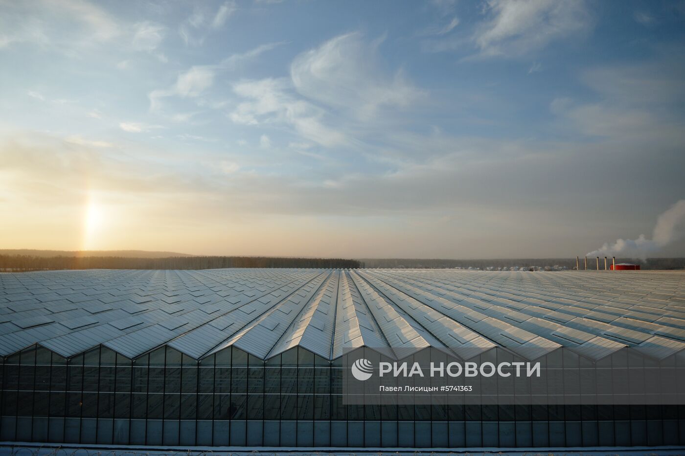 Открытие второй очереди тепличного комбината «УГМК-Агро»