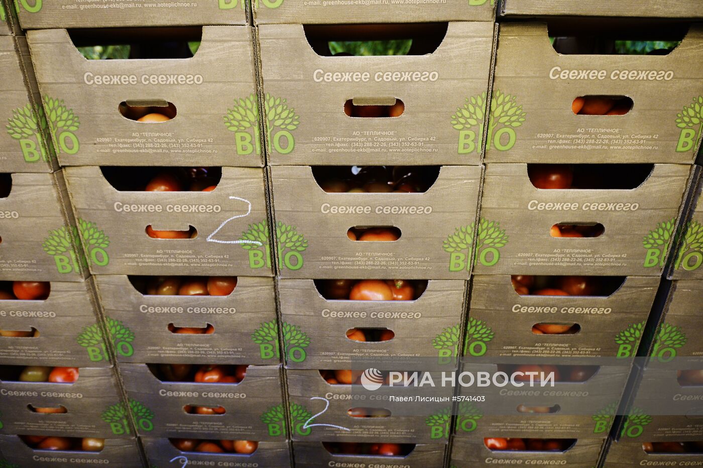 Открытие второй очереди тепличного комбината «УГМК-Агро»