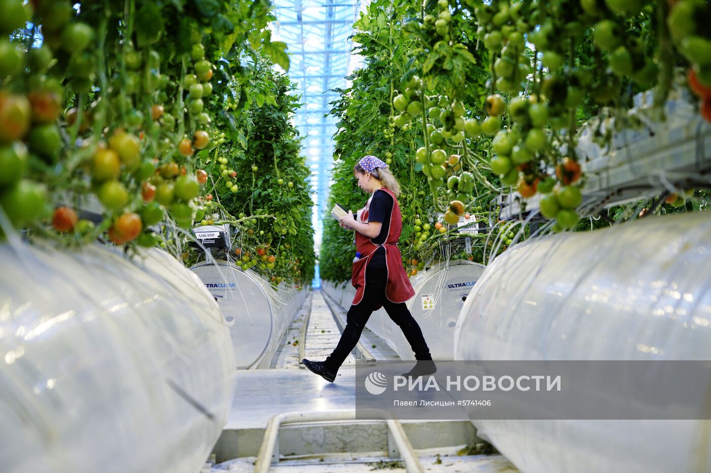 Открытие второй очереди тепличного комбината "УГМК-Агро"