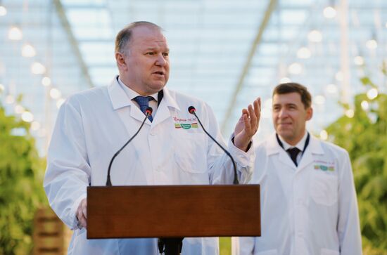 Открытие второй очереди тепличного комбината «УГМК-Агро»