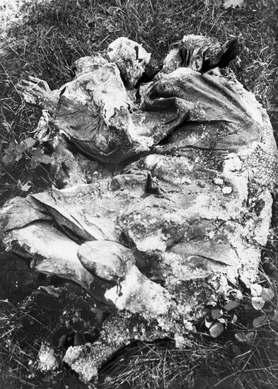 Великая Отечественная война 1941-1945 гг.