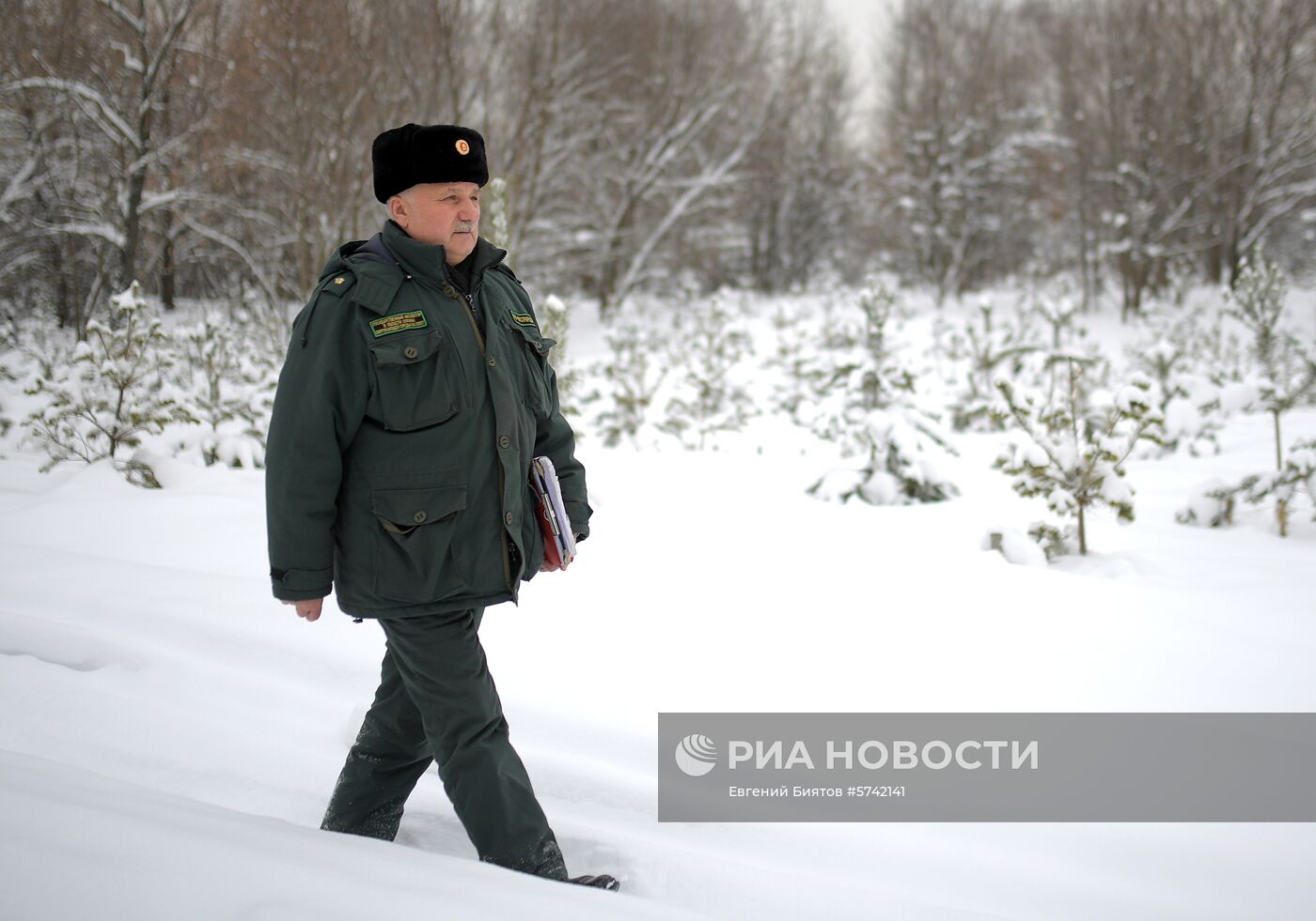 Рейд по незаконной вырубке елок в парке "Кузьминки"