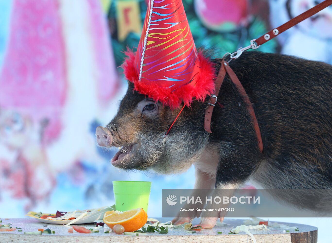 Празднование нового года в зоопарке "Лесная сказка" в Барнауле