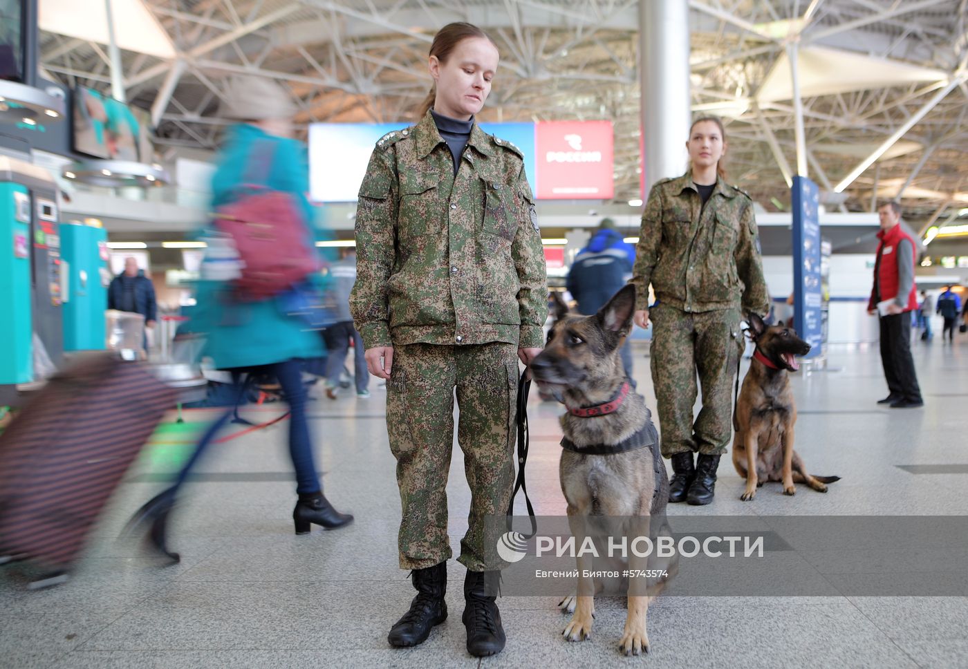 Таможенный контрольно-пропускной пост аэропорта Внуково