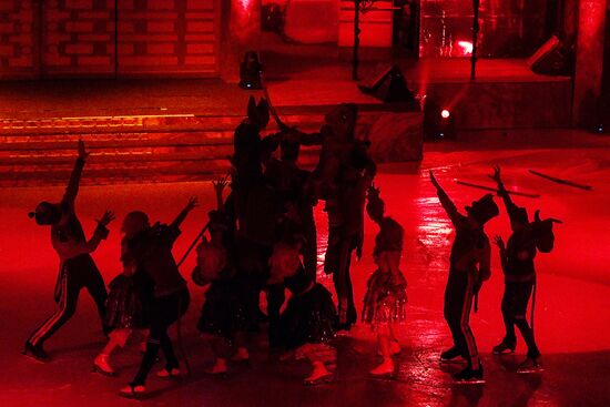 Новогоднее ледовое шоу Ильи Авербуха "Щелкунчик и мышиный король"