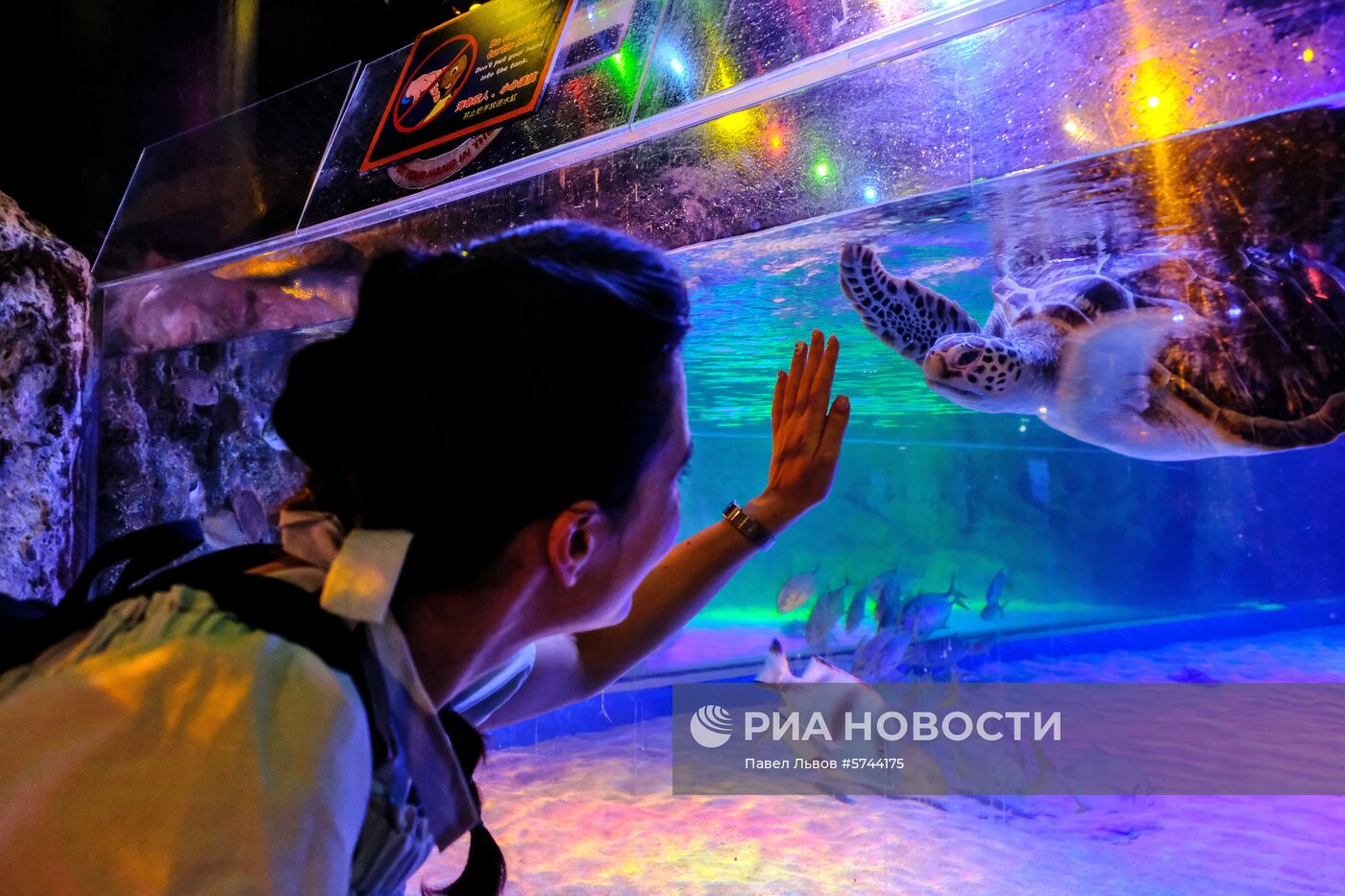 Страны мира. Таиланд