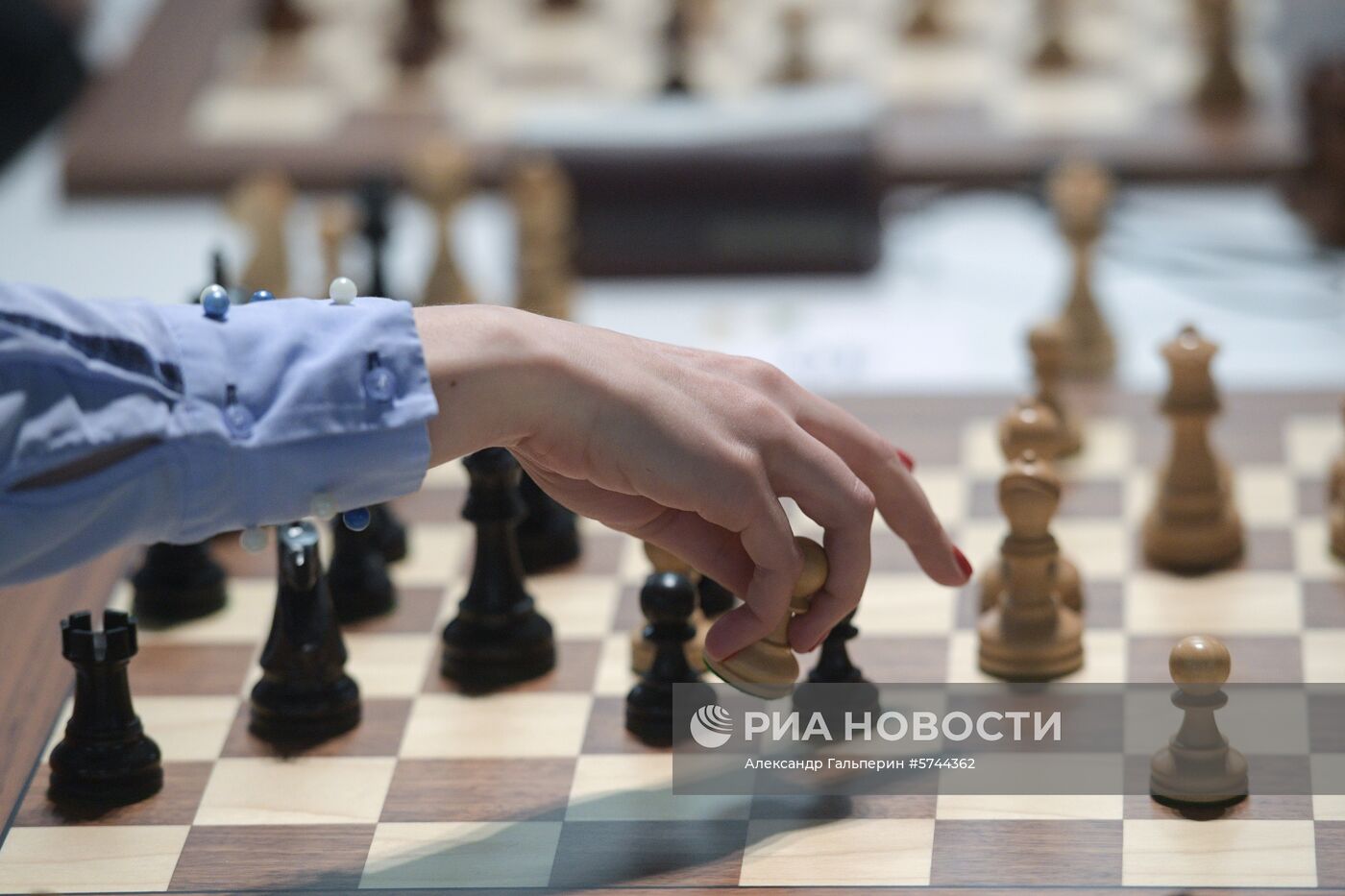 Шахматы. Чемпионат мира. Рапид