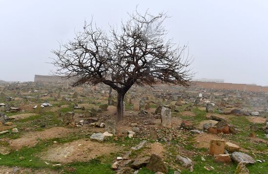 Район Манбидж провинции Алеппо