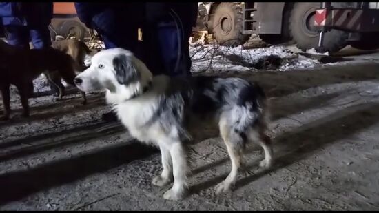 Взрыв бытового газа в жилом доме в Магнитогорске