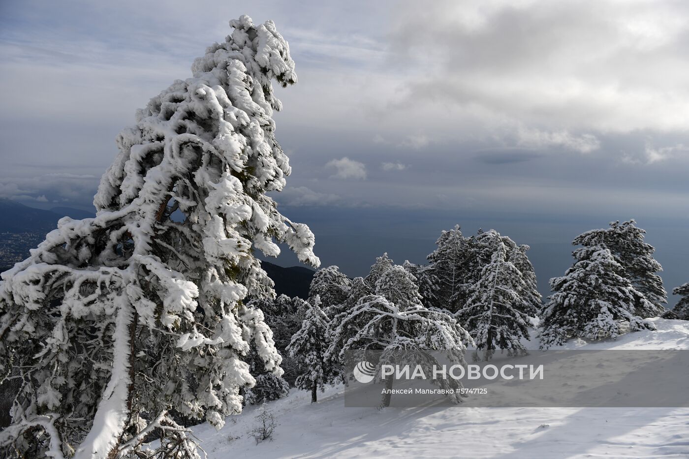 Зимний отдых в Крыму