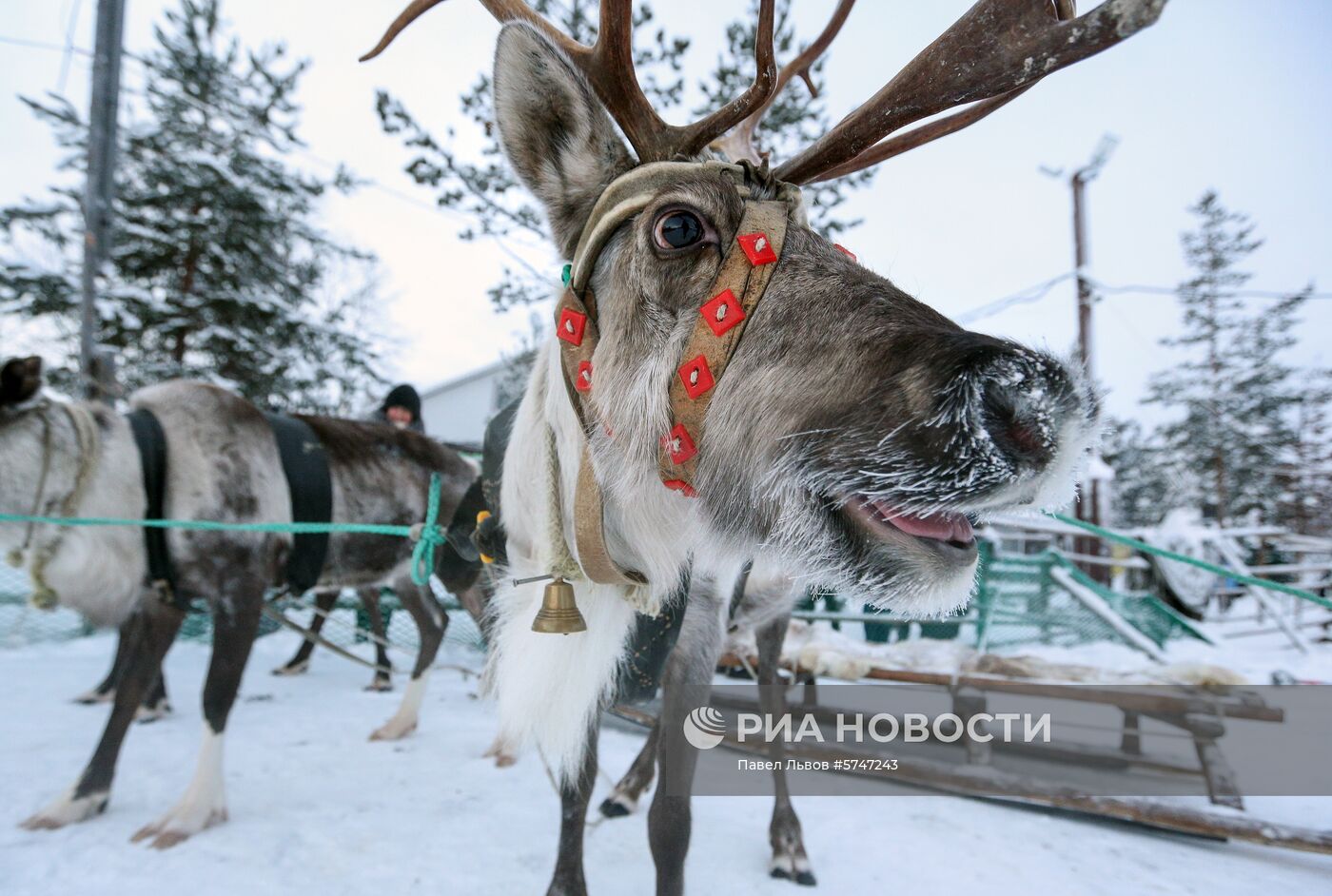 Саамская деревня в Мурманской области