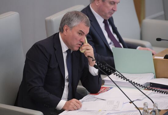 Пленарное заседание Госдумы РФ 