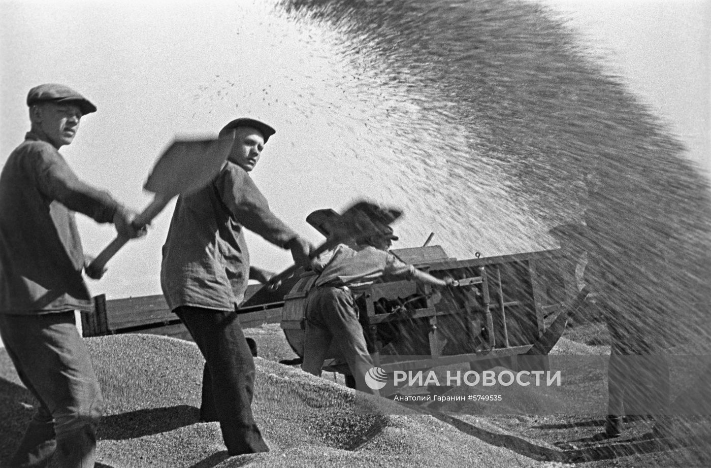 Уборка урожая зерновых