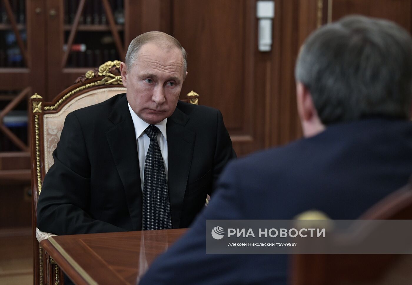 Президент РФ В. Путин встретился с главой "Русгидро" Н. Шульгиновым