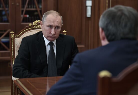 Президент РФ В. Путин встретился с главой "Русгидро" Н. Шульгиновым
