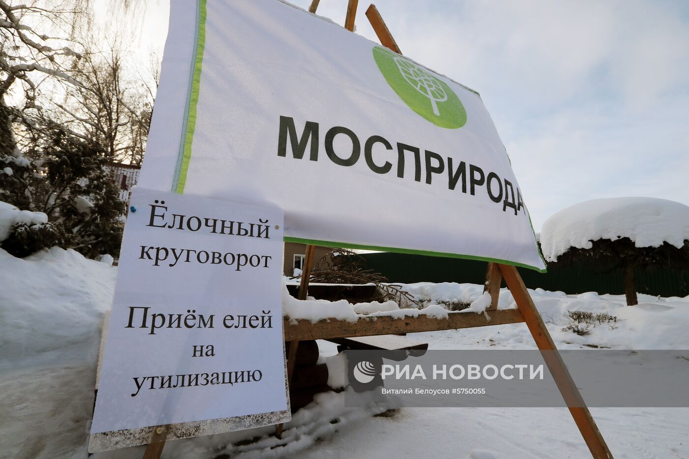 Пункты утилизации новогодних елок в Москве