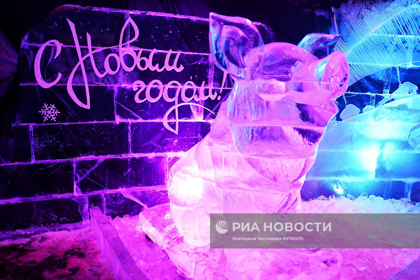 Выставка "-273°. Ледяной космос"