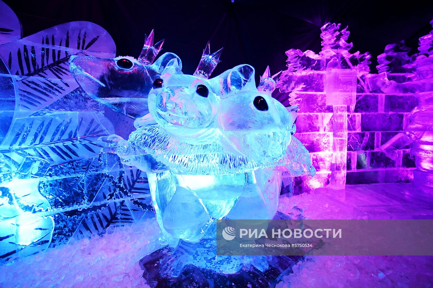 Выставка "-273°. Ледяной космос"