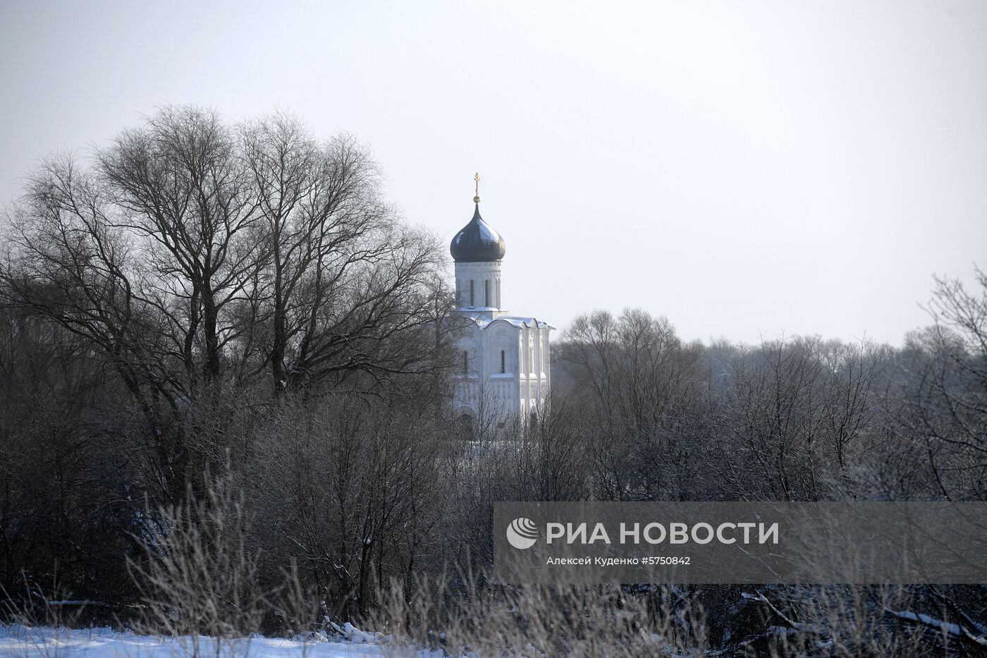 Регионы России. Владимирская область