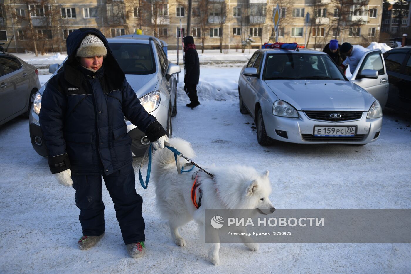 Соревнования по ездовому спорту в Новосибирской области