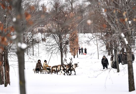 Катания на оленьих и собачьих упряжках в парке "Царицыно"