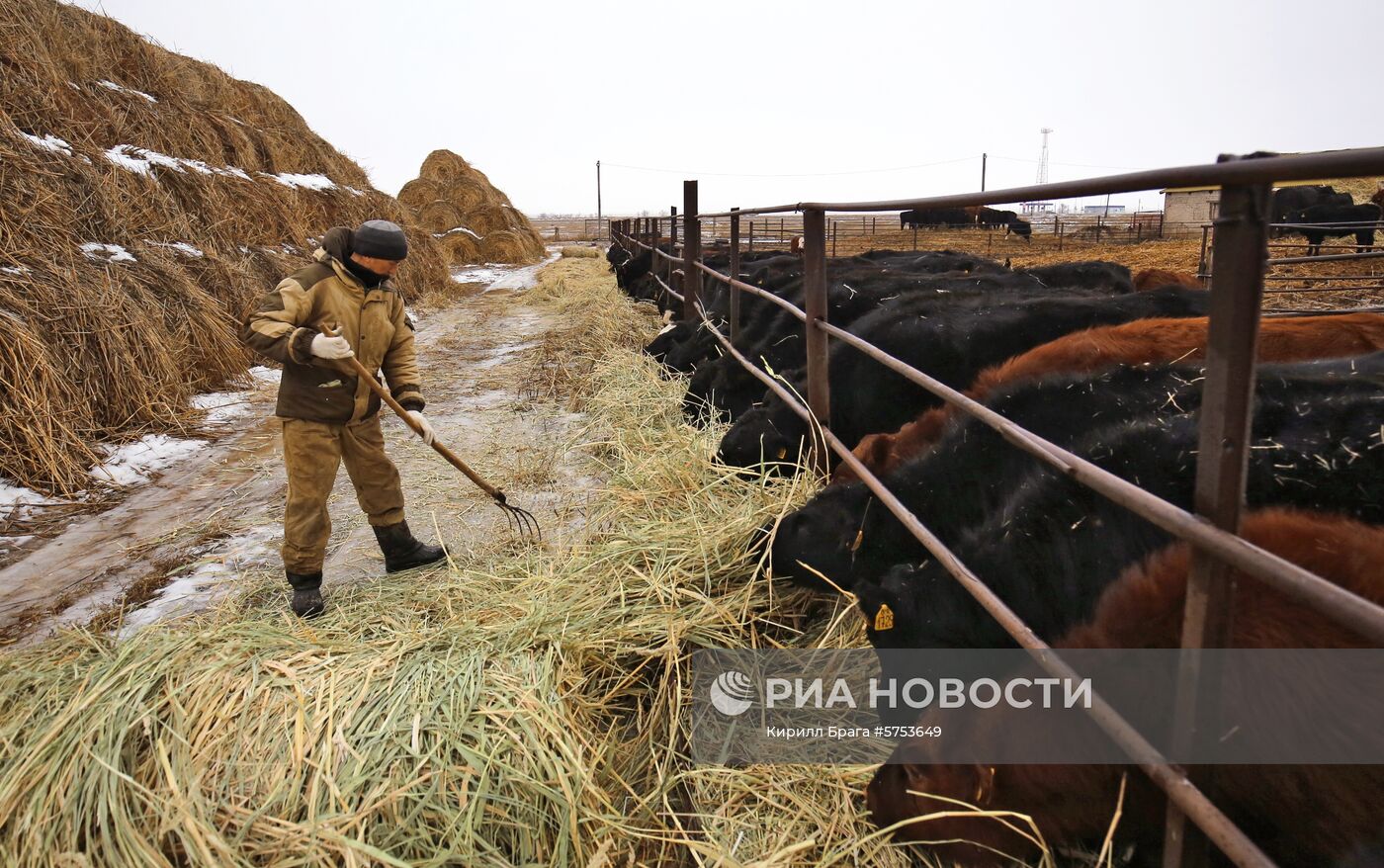  Крестьянско-фермерское хозяйство в Волгоградской области