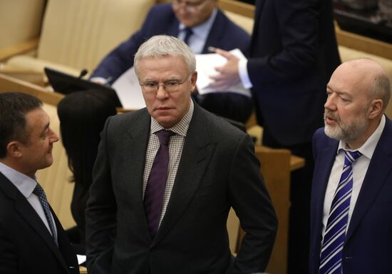 Пленарное заседание Госдумы РФ 