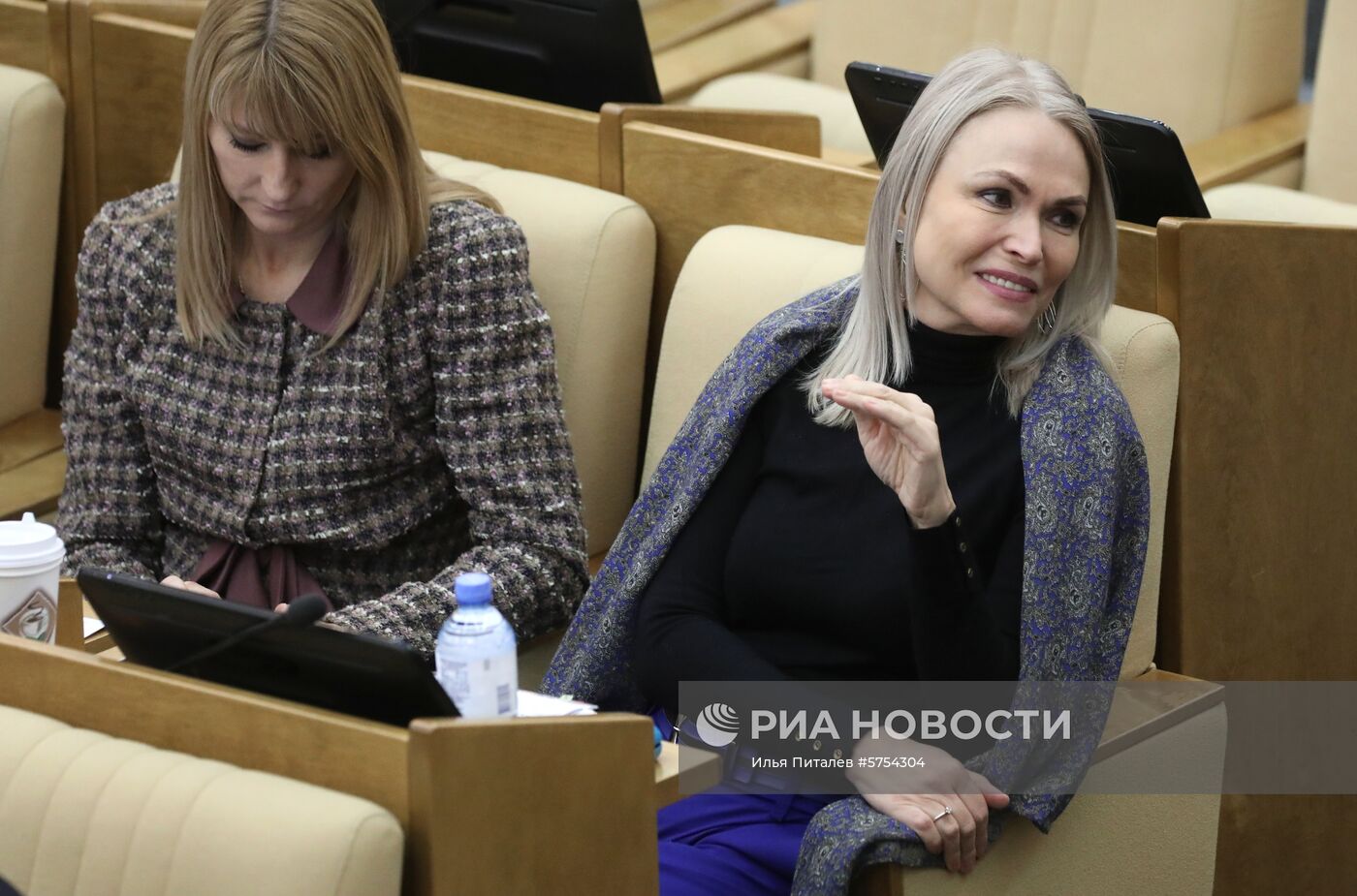 Пленарное заседание Госдумы РФ