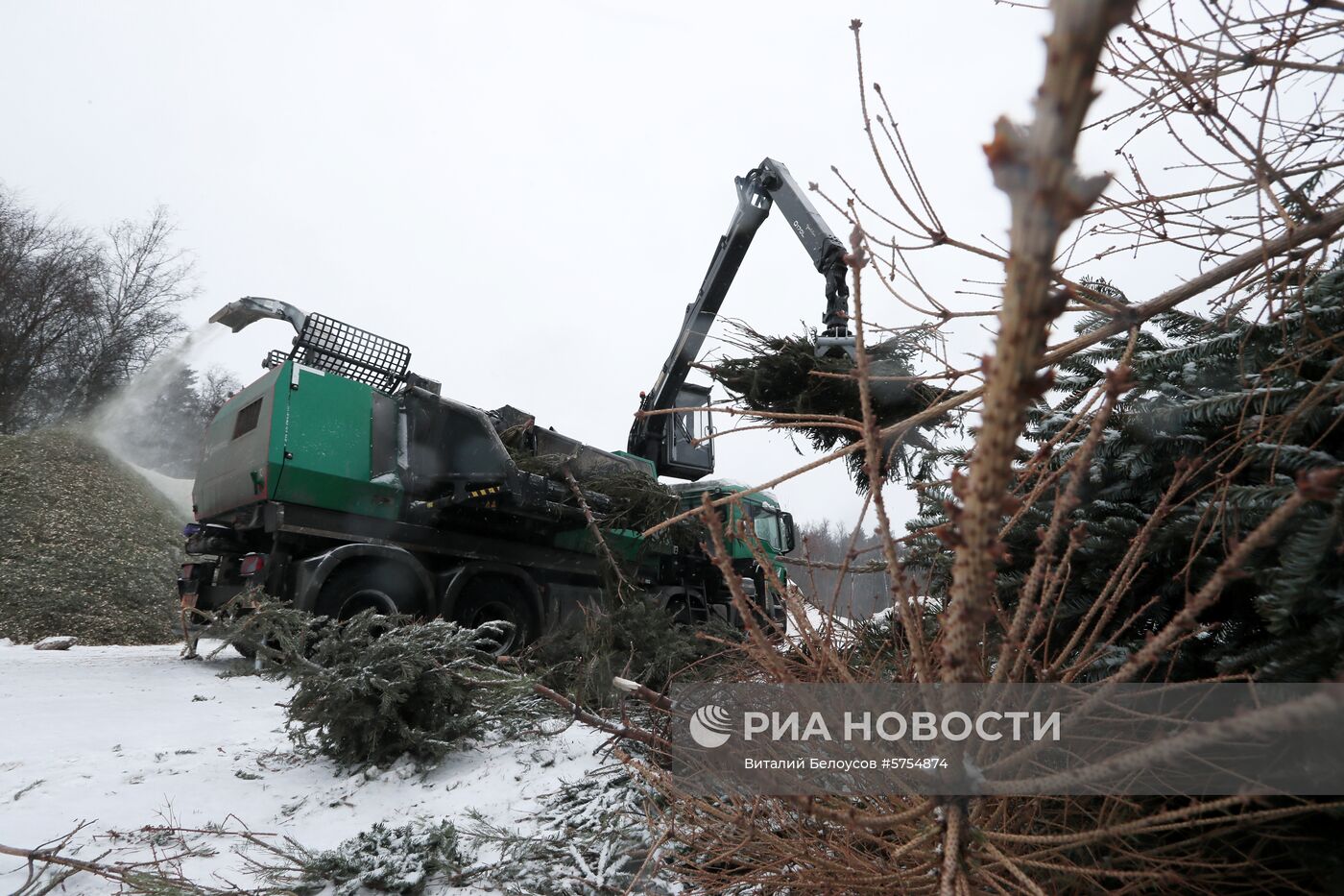 Утилизация новогодних елок