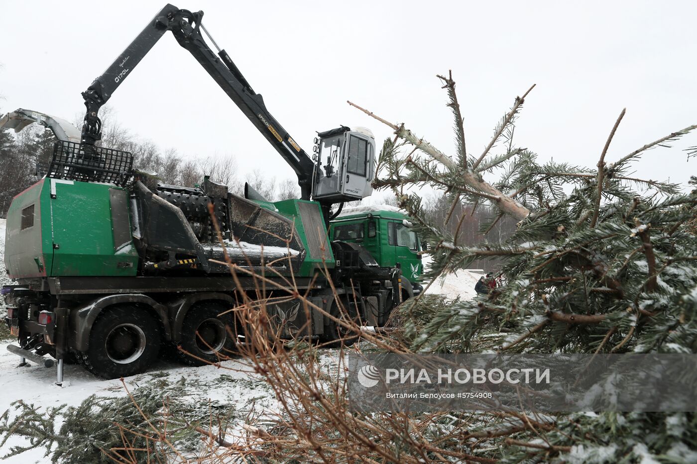 Утилизация новогодних елок