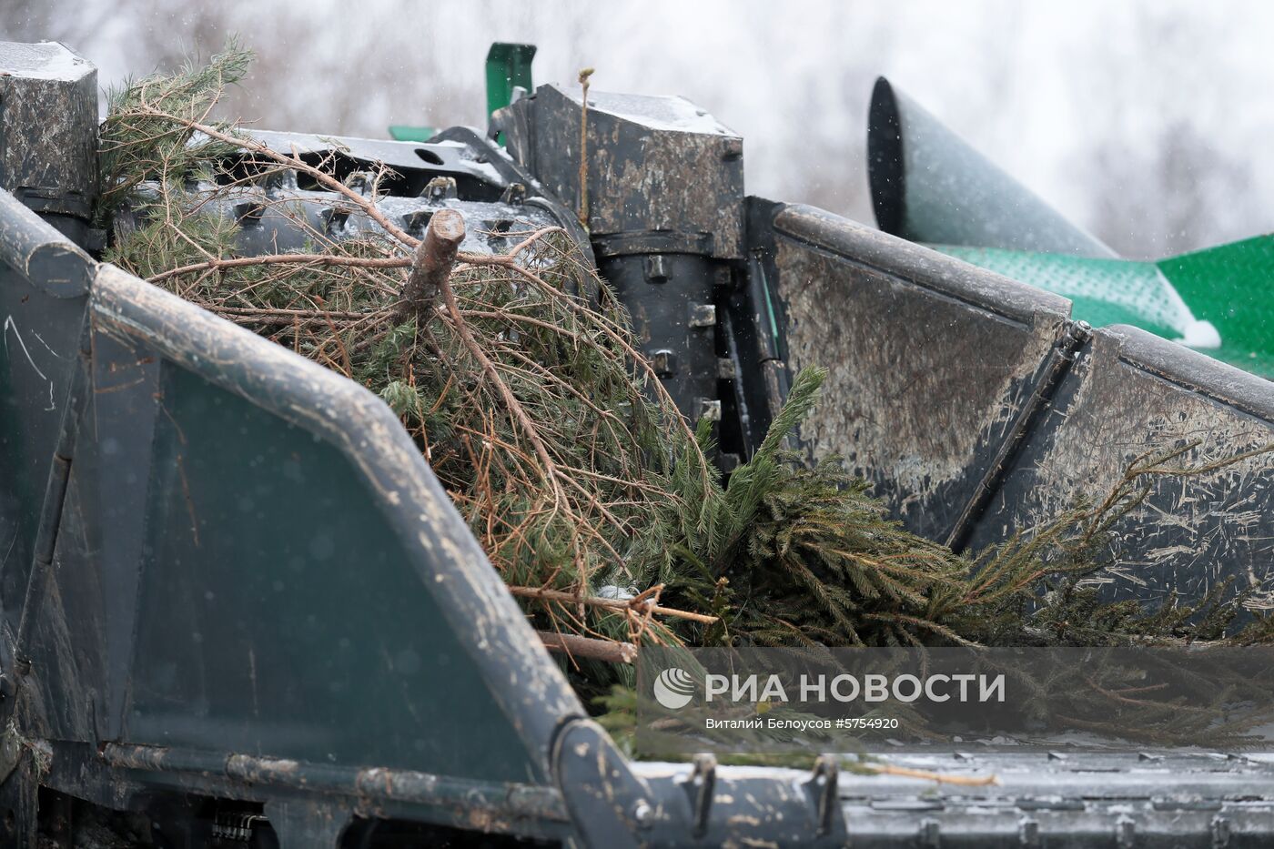 Утилизация новогодних елок