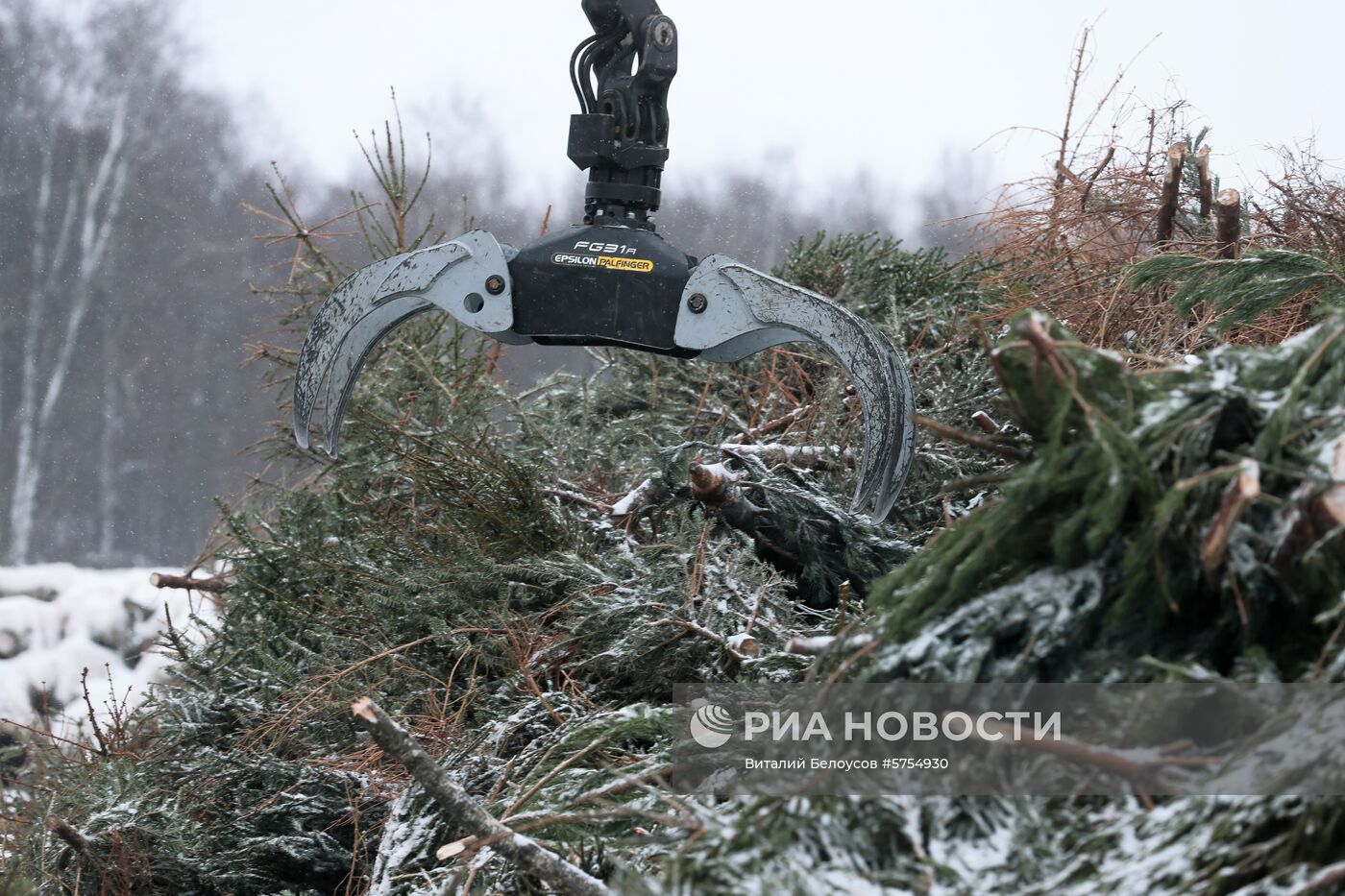 Утилизация новогодних елок