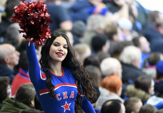 Хоккей. КХЛ. Матч СКА - "Динамо" (Москва)