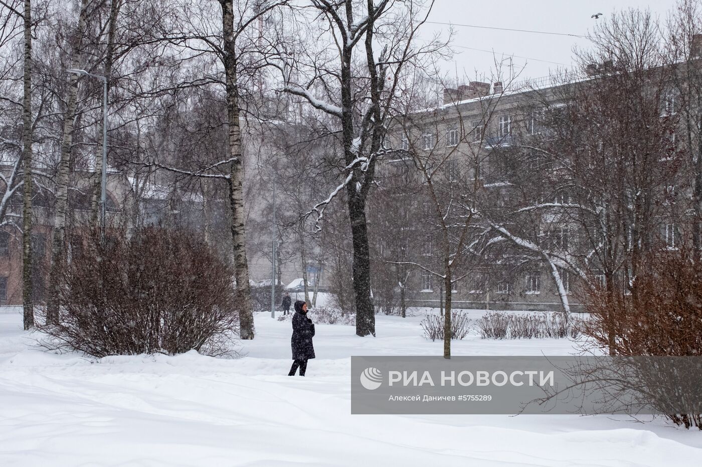 Снегопад в Санкт-Петербурге