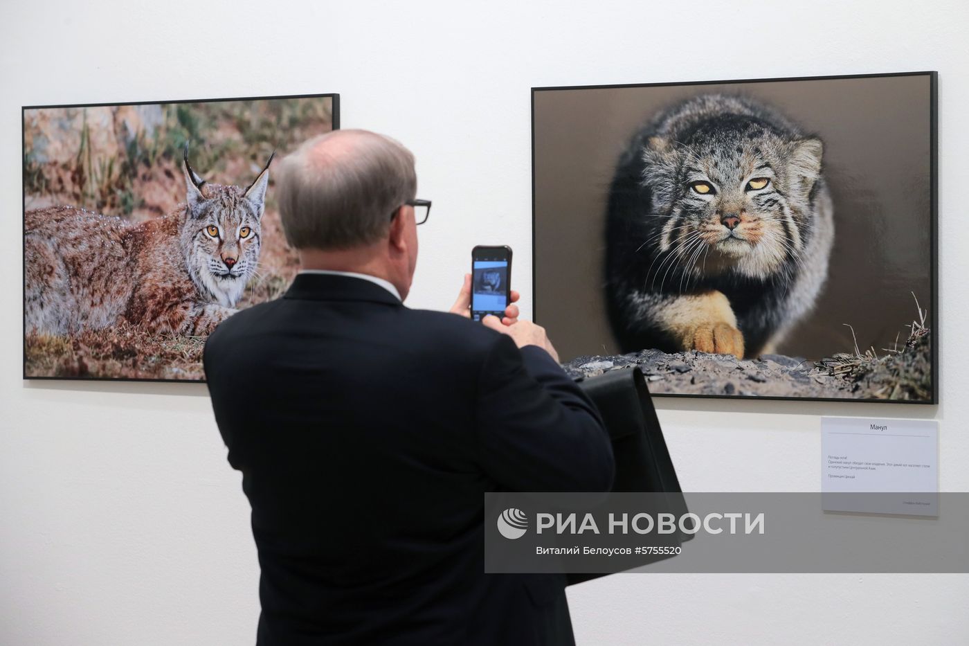 Общероссийский фестиваль природы "Первозданная Россия"