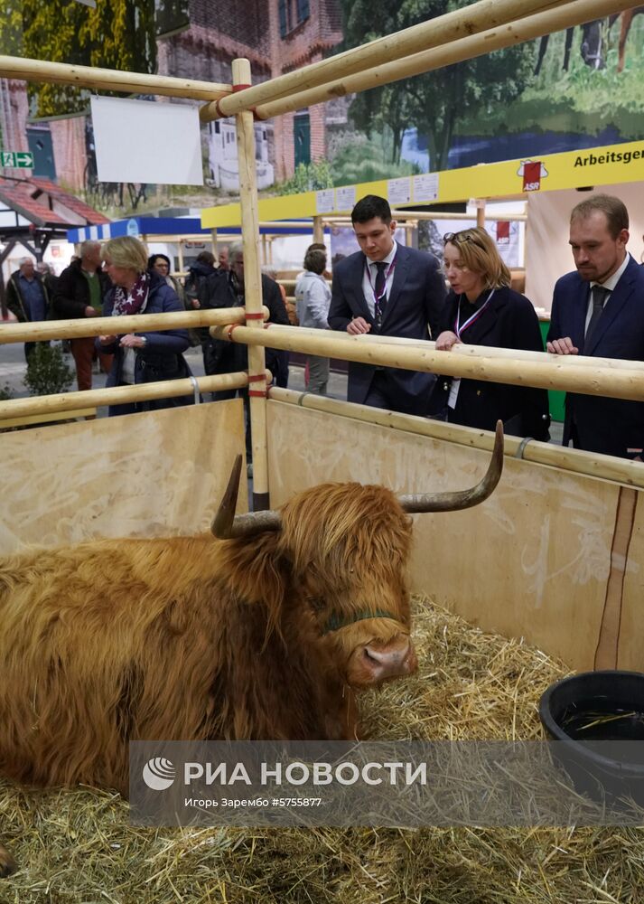 Открытие международной аграрной выставки "Зеленая неделя" в Берлине