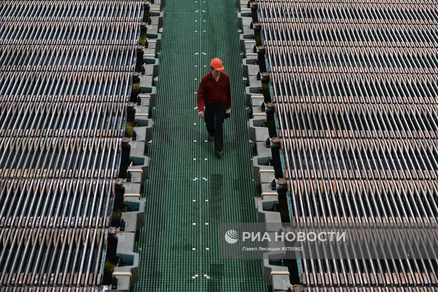 Производство цветных металлов в Свердловской области