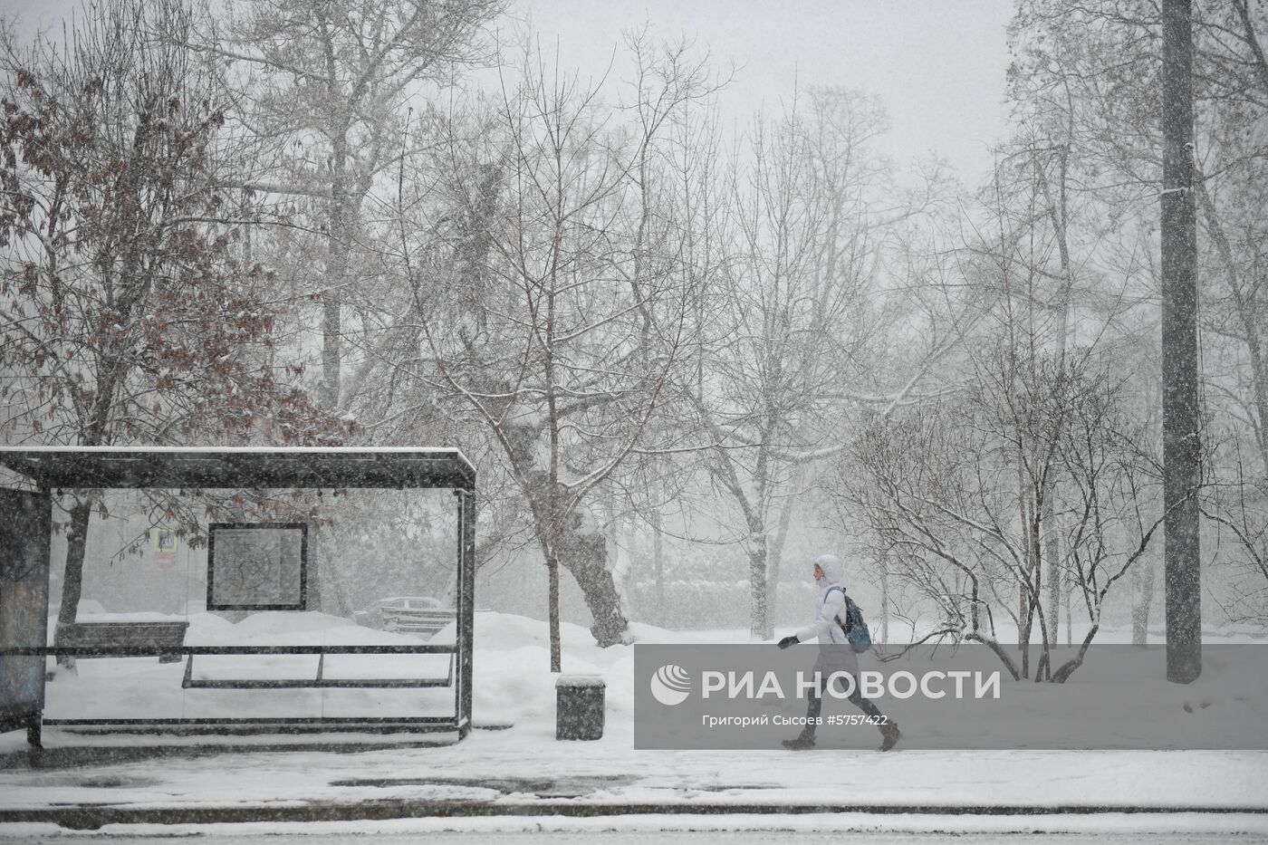 Снегопад в Москве