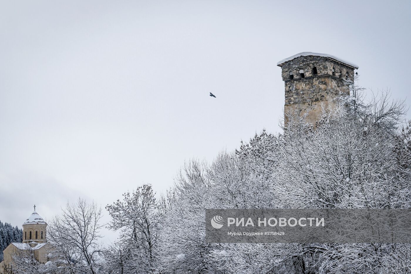 Страны мира. Грузия