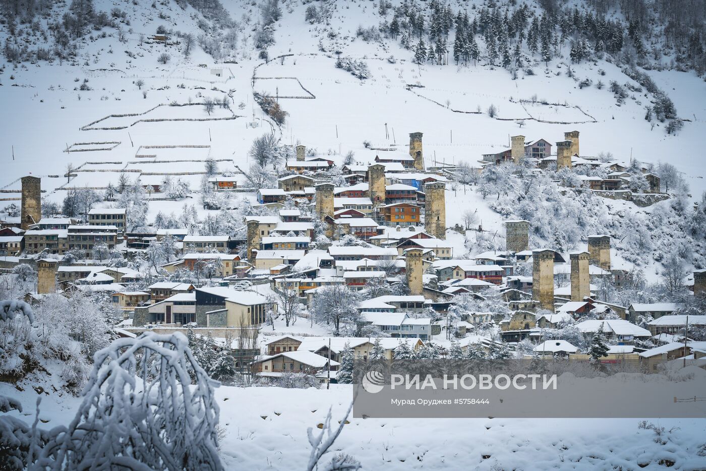 Страны мира. Грузия